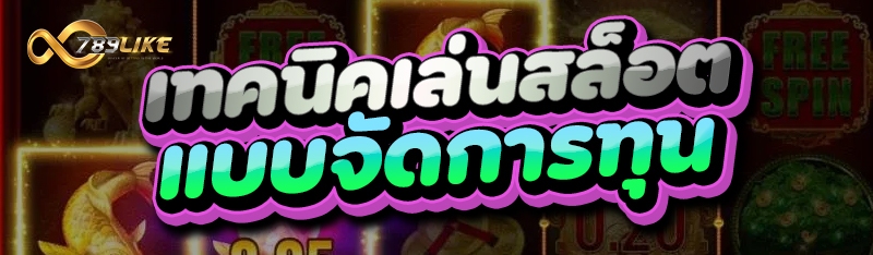 เทคนิคเล่นสล็อต แบบจัดการทุน